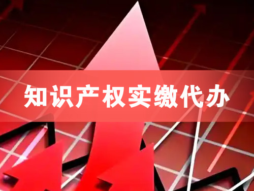 南充知识产权实缴资本代办